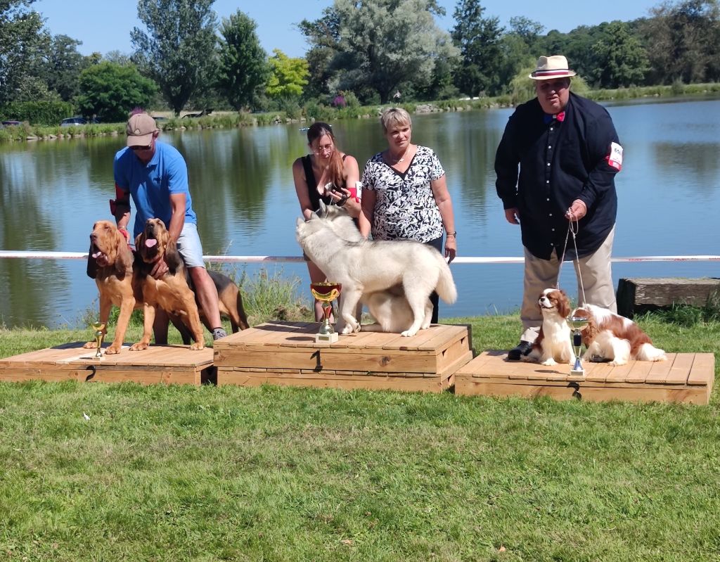 Du Domaine Des Versannes - Expo Cressat (23) juillet 2022
